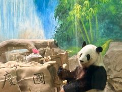 -灵玲国际马戏城