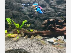 -长沙海底世界