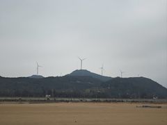 -大京沙滩
