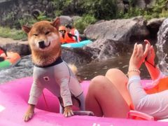 -安吉龙王山峡谷漂流