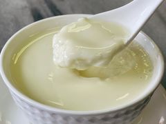 -沙湾姜撞奶甜品店(昌岗中路店)