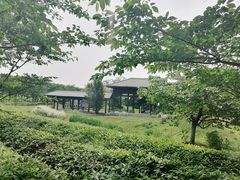 -凤凰沟景区