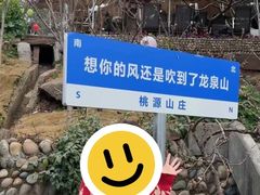 -桃源山庄·水蜜桃采摘·柴火鸡·烧烤团建(龙泉山店)