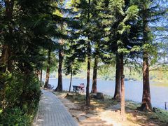 -深圳仙湖植物园