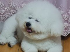 -美联众合24小时·皮肤科·外科·全科诊疗中心(华苑分院)