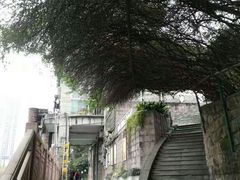 -成都市活水公园