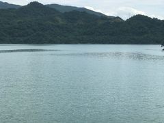 -酒仙湖景区