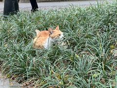 -荔湾博物馆