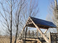 -野鸭湖国家湿地公园