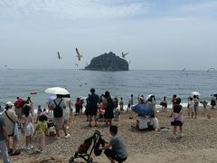 -棒棰岛宾馆景区