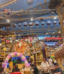 -卡通尼·Safari非洲探索乐园·生日会(金桥国际商业广场店)