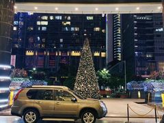 -怡聚轩全日制自助餐厅(大中华喜来登酒店)