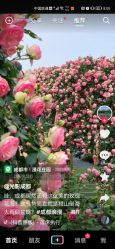 点击看大图 -宝贝家族国际影像馆(东郊记忆店)