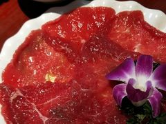 -二荆条·蜀鲜汇城市森林火锅