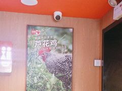 -俭寨大盘鸡·缸子肉·小公鸡·新疆菜(云通店)