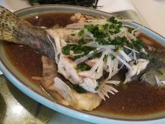清蒸桂鱼-小蓝鲸湖北菜(八一路店)