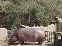 -宁波野生动物园