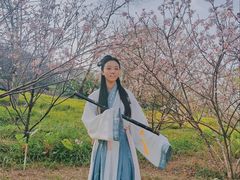 -王借岗森林公园