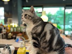 -咖法森林·咖啡  酒吧(天河店)