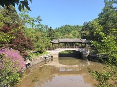 -溪口商量岗景区