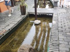 -茯茶镇