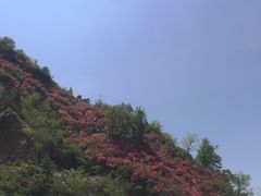 -木兰云雾山