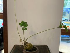 -侘寂甜品(自取店)