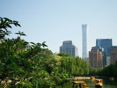 -团结湖公园