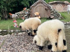 -HERRE·FARM 赫尔露营农场·团建聚会包场