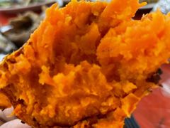 -头塘庄园(农家乐)