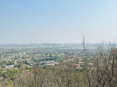 -上海佘山国家森林公园西佘山园