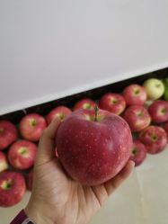 点击看大图 -萌宠亲子动物乐园(槐房万达店)