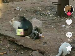 -昆明动物园