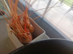 -木守西溪溪隐餐厅