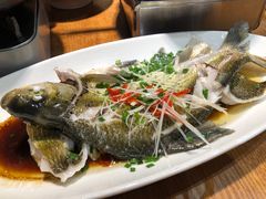 -肖记公安牛肉鱼杂馆·省级非物质文化遗产(万松园直营店)