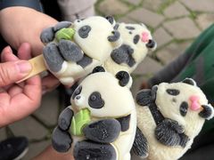 -都江堰中华大熊猫苑