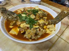 -煲来饱去冷水鱼