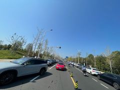 -上海滨江森林公园