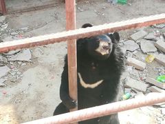 -聊城动物园