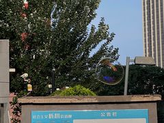 -长白岛森林公园