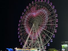 -琴岛之星摩天轮