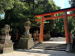 -奈良公园