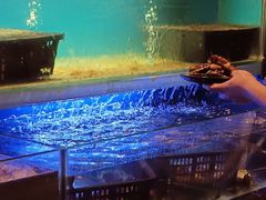 -喜庭海鲜自助(来福士店)