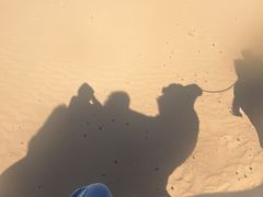 -亿利库布其七星湖沙漠生态旅游区