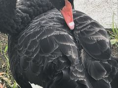 -中国农业博物馆