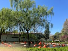 -石家庄市动物园