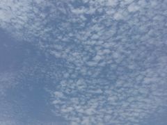 -天津霍元甲学校