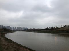 -洋湖国家湿地公园