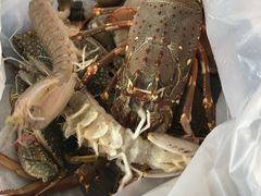 -拉威海鲜市场
