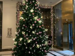 -东海朗廷酒店·廷廊 Palm Court
